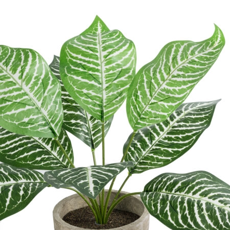 ZEBRA POTTED PLANT 20898 Διακοσμητικό Φυτό Ζέμπρα Φ40 x Υ33cm - Τροπικα και Ιδιαιτερα Τεχνητα φυτα Sticky 1