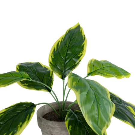 YELLOW HOSTA PLANT 20899 Τεχνητό Διακοσμητικό Φυτό Κίτρινη Χόστα Φ45 x Υ40cm - Τροπικα και Ιδιαιτερα Τεχνητα φυτα Sticky 1