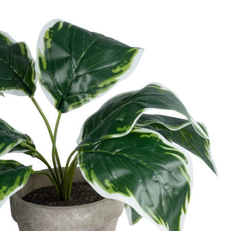 WHITE HOSTA PLANT 20900 Διακοσμητικό Φυτό Λευκή  Χόστα Φ45 x Υ40cm - Τροπικα και Ιδιαιτερα Τεχνητα φυτα Sticky 1