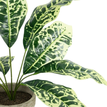 YELLOW AGLAONEMA POTTED PLANT 20902 Διακοσμητικό Φυτό Κίτρινο Αγλαόνημα Φ40 x Υ33cm - Τροπικα και Ιδιαιτερα Τεχνητα φυτα Sticky 1