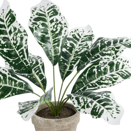 WHITE AGLAONEMA POTTED PLANT 20903 Διακοσμητικό Φυτό Λευκό Αγλαόνημα Φ40 x Υ33cm - Τροπικα και Ιδιαιτερα Τεχνητα φυτα Sticky 1