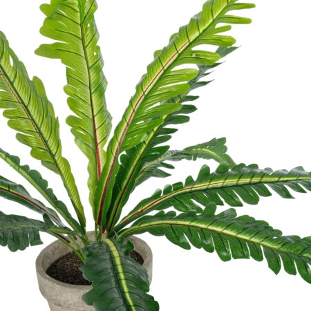 ASPLENIUM POTTED PLANT 20904 Διακοσμητικό Φυτό Aslenium Φ40 x Υ33cm - Τροπικα και Ιδιαιτερα Τεχνητα φυτα Sticky 1