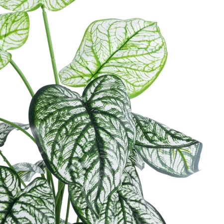 CALADIUM 20908 Διακοσμητικό Φυτό Καλάδια Υ75cm - Τροπικα και Ιδιαιτερα Τεχνητα φυτα Sticky 1