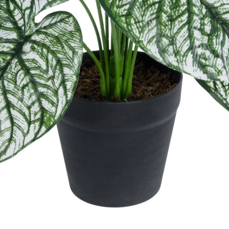 CALADIUM 20908 Διακοσμητικό Φυτό Καλάδια Υ75cm - Τροπικα και Ιδιαιτερα Τεχνητα φυτα Sticky 2