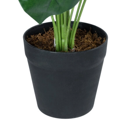 MONSTERA PLANT 20909 - Διακοσμητικό Φυτό Μονστέρα Φ50 x Υ75cm - Τεχνητά Φυτά και Δέντρα Sticky 2