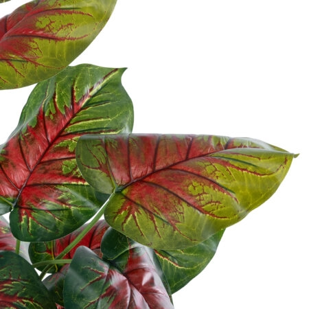 CALADIUM MIX 20911 Διακοσμητικό Φυτό Καλάντιουμ Υ75cm - Τροπικα και Ιδιαιτερα Τεχνητα φυτα Sticky 1
