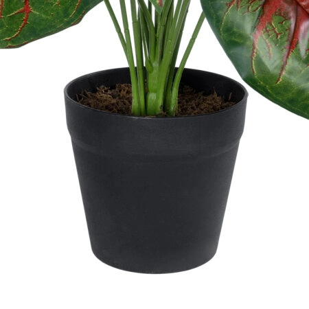 CALADIUM MIX 20911 Διακοσμητικό Φυτό Καλάντιουμ Υ75cm - Τροπικα και Ιδιαιτερα Τεχνητα φυτα Sticky 2