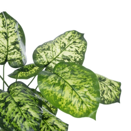 DIEFFENBACHIA PLANT 20914 Διακοσμητικό Φυτό Διφενμπάχια Φ58 x Υ75cm - Τροπικα και Ιδιαιτερα Τεχνητα φυτα Sticky 1