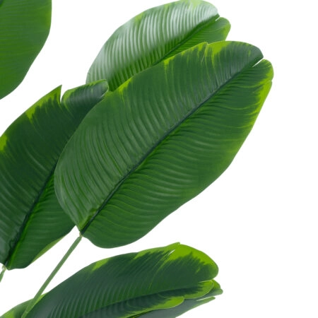 YOUNG BANANA PLANT 20916 - Διακοσμητικό Φυτό Νεαρή Μπανανιά Φ82 x Υ80cm - Τεχνητες Μπανανιες Sticky 1
