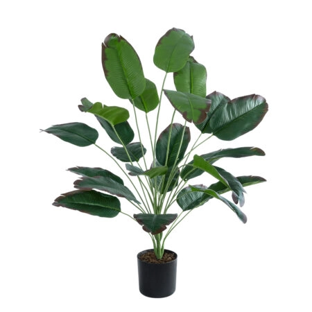 OLD BANANA PLANT 20917 - Διακοσμητικό Φυτό Ώριμη Μπανανιά Φ90 x Υ80cm