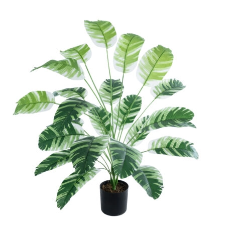 BANANA ZEBRA PLANT 20918 - Διακοσμητικό Φυτό Μπανανιά Ζέβρα Φ83 x Υ80cm