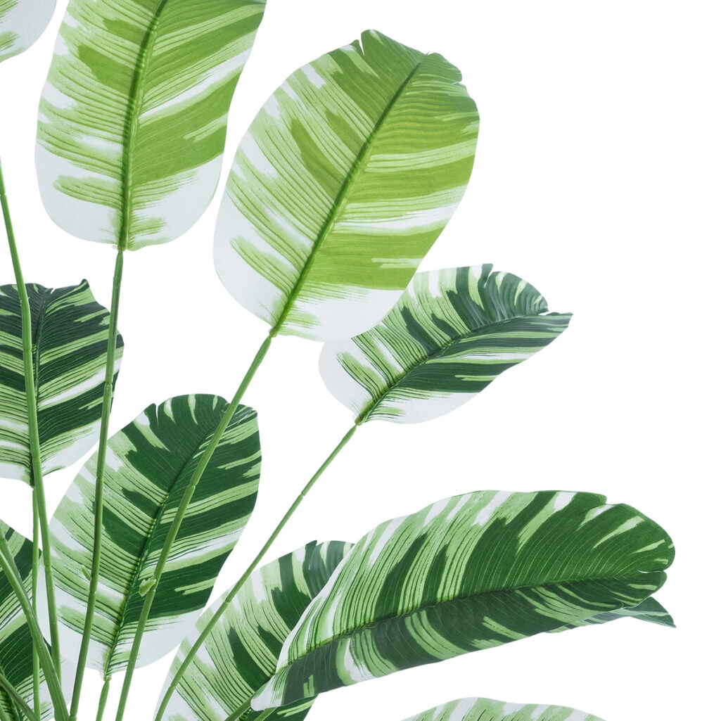 BANANA ZEBRA PLANT 20918 - Διακοσμητικό Φυτό Μπανανιά Ζέβρα Φ83 x Υ80cm