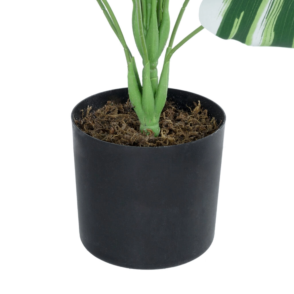 BANANA ZEBRA PLANT 20918 - Διακοσμητικό Φυτό Μπανανιά Ζέβρα Φ83 x Υ80cm