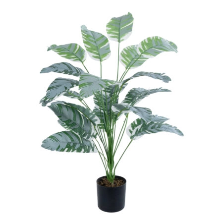 BANANA ZEBRA PLANT 20919 - Διακοσμητικό Φυτό Μπανανιά Ζέβρα Φ78 x Υ80cm
