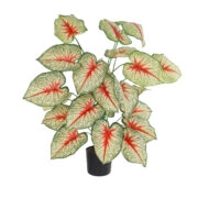 CALADIUM PLANT 20921 Διακοσμητικό Φυτό Καλάντιουμ Φ75 x Υ80cm - Τροπικα και Ιδιαιτερα Τεχνητα φυτα