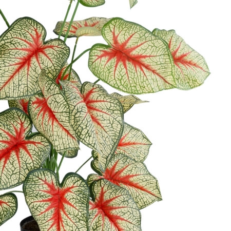 CALADIUM PLANT 20921 Διακοσμητικό Φυτό Καλάντιουμ Φ75 x Υ80cm - Τροπικα και Ιδιαιτερα Τεχνητα φυτα Sticky 1