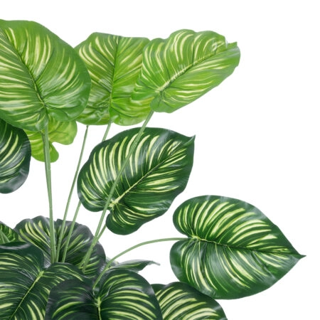 CALATHEA PLANT 20922 Διακοσμητικό Φυτό Καλαθέα Φ70 x Υ80cm - Τροπικα και Ιδιαιτερα Τεχνητα φυτα Sticky 1