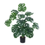 MONSTERA PLANT 20923 - Διακοσμητικό Φυτό Μονστέρα Φ80 x Υ80cm