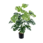 MONSTERA PLANT 20924 - Διακοσμητικό Φυτό Μονστέρα Φ90 x Υ80cm