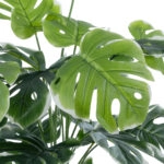 MONSTERA PLANT 20924 - Διακοσμητικό Φυτό Μονστέρα Φ90 x Υ80cm