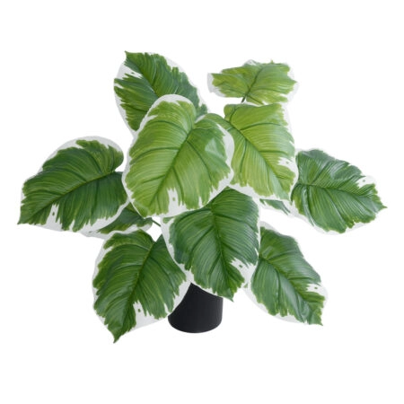 WHITE HOSTA PLANT 20931 Διακοσμητικό Φυτό Λευκή  Χόστα Φ60 x Υ55cm