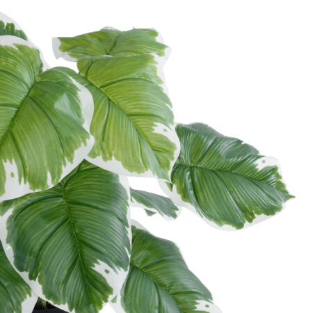 WHITE HOSTA PLANT 20931 Διακοσμητικό Φυτό Λευκή  Χόστα Φ60 x Υ55cm - Τροπικα και Ιδιαιτερα Τεχνητα φυτα Sticky 1
