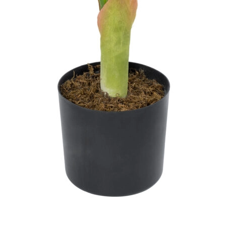MONSTERA PLANT 20937 - Διακοσμητικό Φυτό Μονστέρα Φ90 x Υ80cm - Τεχνητά Φυτά και Δέντρα Sticky 2