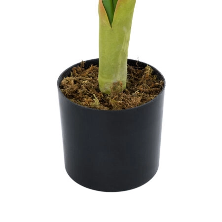 CALATHEA PLANT 20940 Διακοσμητικό Φυτό Καλαθέα Φ80 x Υ90cm - Τροπικα και Ιδιαιτερα Τεχνητα φυτα Sticky 2