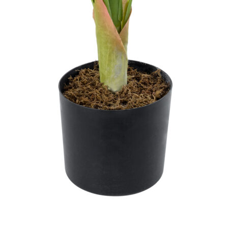 WHITE ZEBRA PLANT 20943 Τεχνητό Διακοσμητικό Φυτό Λευκή Ζέβρα Φ90 x Υ90cm - Τροπικα και Ιδιαιτερα Τεχνητα φυτα Sticky 2
