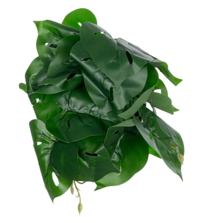 MONSTERA PLANT 20945 - Διακοσμητικό Φυτό Μονστέρα Φ40 x Υ33cm - Μικρα Φυτά και Παχύφυτα Sticky 1