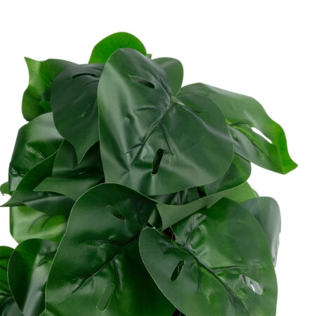 MONSTERA PLANT 20945 - Διακοσμητικό Φυτό Μονστέρα Φ40 x Υ33cm - Μικρα Φυτά και Παχύφυτα Sticky 2