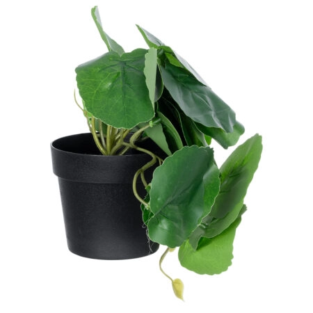 STRAWBERRY PLANT 20951 Διακοσμητικό Φυτό Φράουλα Φ23 x Υ16cm - Μικρα Φυτά και Παχύφυτα