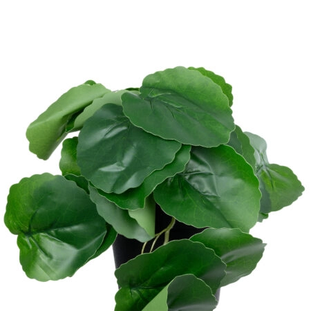 STRAWBERRY PLANT 20951 Διακοσμητικό Φυτό Φράουλα Φ23 x Υ16cm - Μικρα Φυτά και Παχύφυτα Sticky 1
