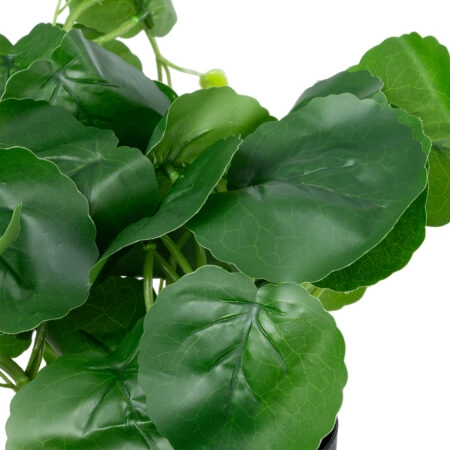 BELL PLANT 20957 Διακοσμητικό Φυτό Σεφλέρα Φ47 x Υ22cm - Τροπικα και Ιδιαιτερα Τεχνητα φυτα Sticky 1
