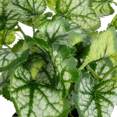 BEGONIA PLANT 20958 Διακοσμητικό Φυτό Βιγόνια Φ47 x Υ22cm - Τροπικα και Ιδιαιτερα Τεχνητα φυτα Sticky 1