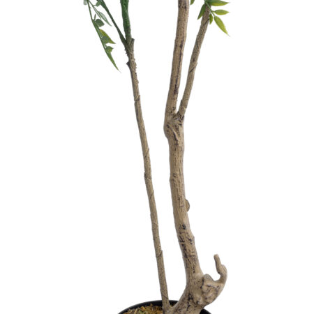 GREEN NANDINA PLANT 20965 Διακοσμητικό Φυτό Πράσινη Ναντίνα Φ66 x Υ150cm - Τροπικα και Ιδιαιτερα Τεχνητα φυτα Sticky 2