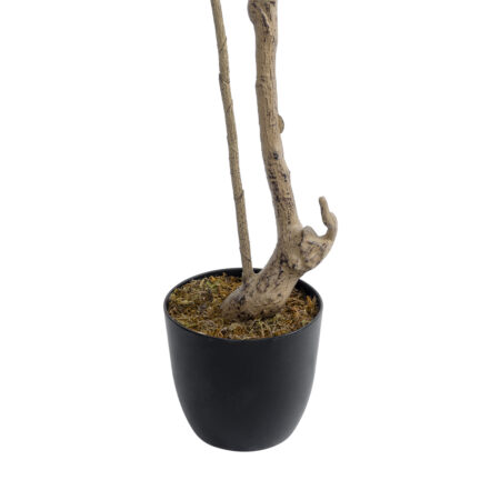 GREEN NANDINA PLANT 20965 Διακοσμητικό Φυτό Πράσινη Ναντίνα Φ66 x Υ150cm - Τροπικα και Ιδιαιτερα Τεχνητα φυτα Sticky 3