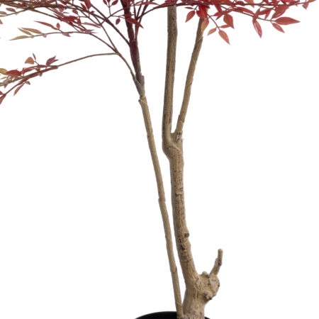 RED NANDINA PLANT 20966 Διακοσμητικό Φυτό Κόκκινη Ναντίνα Φ66 x Υ150cm - Τροπικα και Ιδιαιτερα Τεχνητα φυτα Sticky 2
