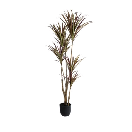 DRAGON BLOOD TREE 20970 - Τεχνητό Διακοσμητικό Φυτό Δράκαινα Φ60 x Υ140cm