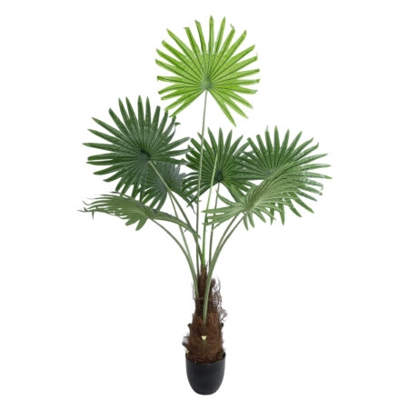 SERENOA PALM PLANT 20971 Διακοσμητικό Φυτό Φοίνικα Σερενόα Φ60 x Υ140cm - Τεχνητοι Φοινικες