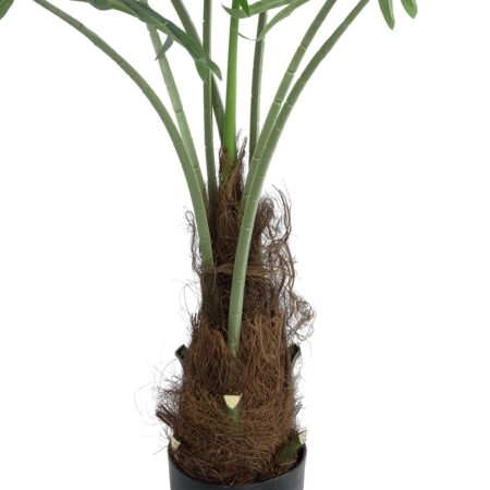 SERENOA PALM PLANT 20971 Διακοσμητικό Φυτό Φοίνικα Σερενόα Φ60 x Υ140cm - Τεχνητοι Φοινικες Sticky 1