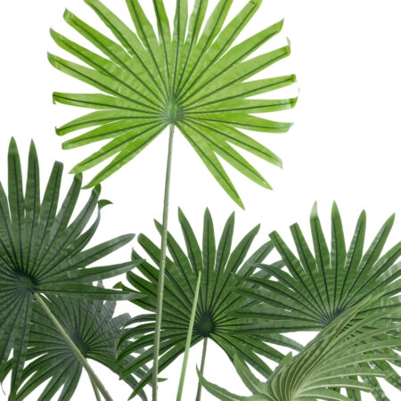 SERENOA PALM PLANT 20971 Διακοσμητικό Φυτό Φοίνικα Σερενόα Φ60 x Υ140cm - Τεχνητοι Φοινικες Sticky 2