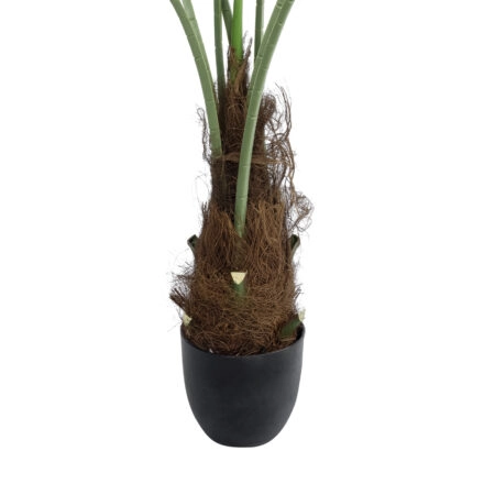 SERENOA PALM PLANT 20971 Διακοσμητικό Φυτό Φοίνικα Σερενόα Φ60 x Υ140cm - Τεχνητοι Φοινικες Sticky 3