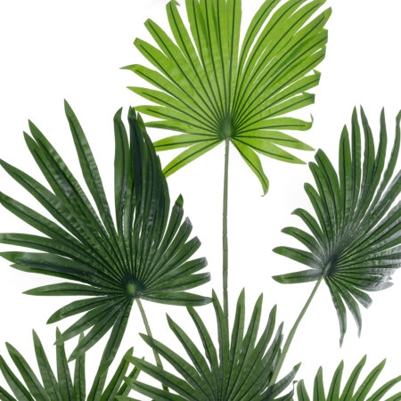 SERENOA PALM PLANT 20972 Διακοσμητικό Φυτό Φοίνικα Σερενόα Φ103 x Υ180cm - Τεχνητοι Φοινικες Sticky 1