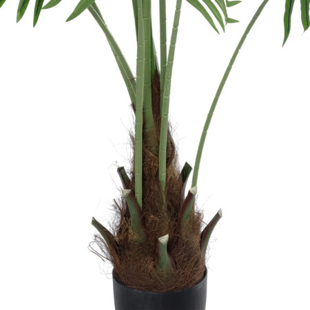 SERENOA PALM PLANT 20972 Διακοσμητικό Φυτό Φοίνικα Σερενόα Φ103 x Υ180cm - Τεχνητοι Φοινικες Sticky 2