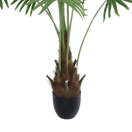 SERENOA PALM PLANT 20972 Διακοσμητικό Φυτό Φοίνικα Σερενόα Φ103 x Υ180cm - Τεχνητοι Φοινικες Sticky 3