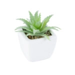 ΠΑΧΥΦΥΤΟ ALOE LOTUS PLANT 20976 Διακοσμητικό Φυτό Παχύφυτο Λωτός Αλόης Φ8 x Υ8cm