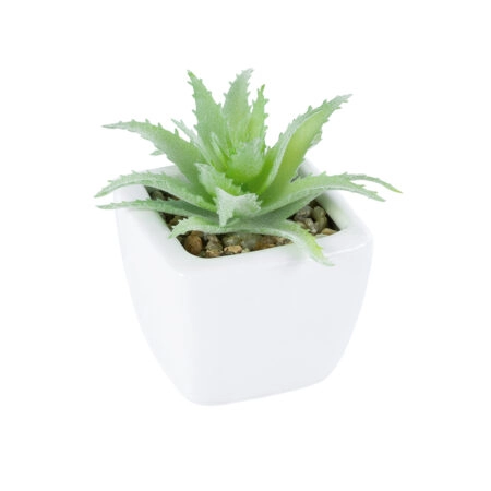 ΠΑΧΥΦΥΤΟ ALOE LOTUS PLANT 20976 Διακοσμητικό Φυτό Παχύφυτο Λωτός Αλόης Φ8 x Υ8cm