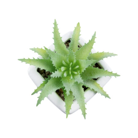 ΠΑΧΥΦΥΤΟ ALOE LOTUS PLANT 20976 Διακοσμητικό Φυτό Παχύφυτο Λωτός Αλόης Φ8 x Υ8cm - Μικρα Φυτά και Παχύφυτα Sticky 1