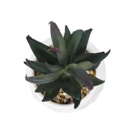 ΠΑΧΥΦΥΤΟ ALOE ΣΕ ΓΛΑΣΤΡΑΚΙ 20978 Διακοσμητικό Φυτό Αλόης Φ7 x Υ14cm - Μικρα Φυτά και Παχύφυτα Sticky 1